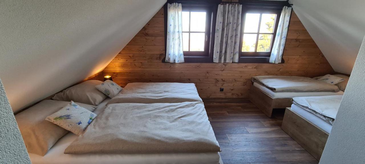 Drevenica Lesanka Villa Демановска Долина Екстериор снимка