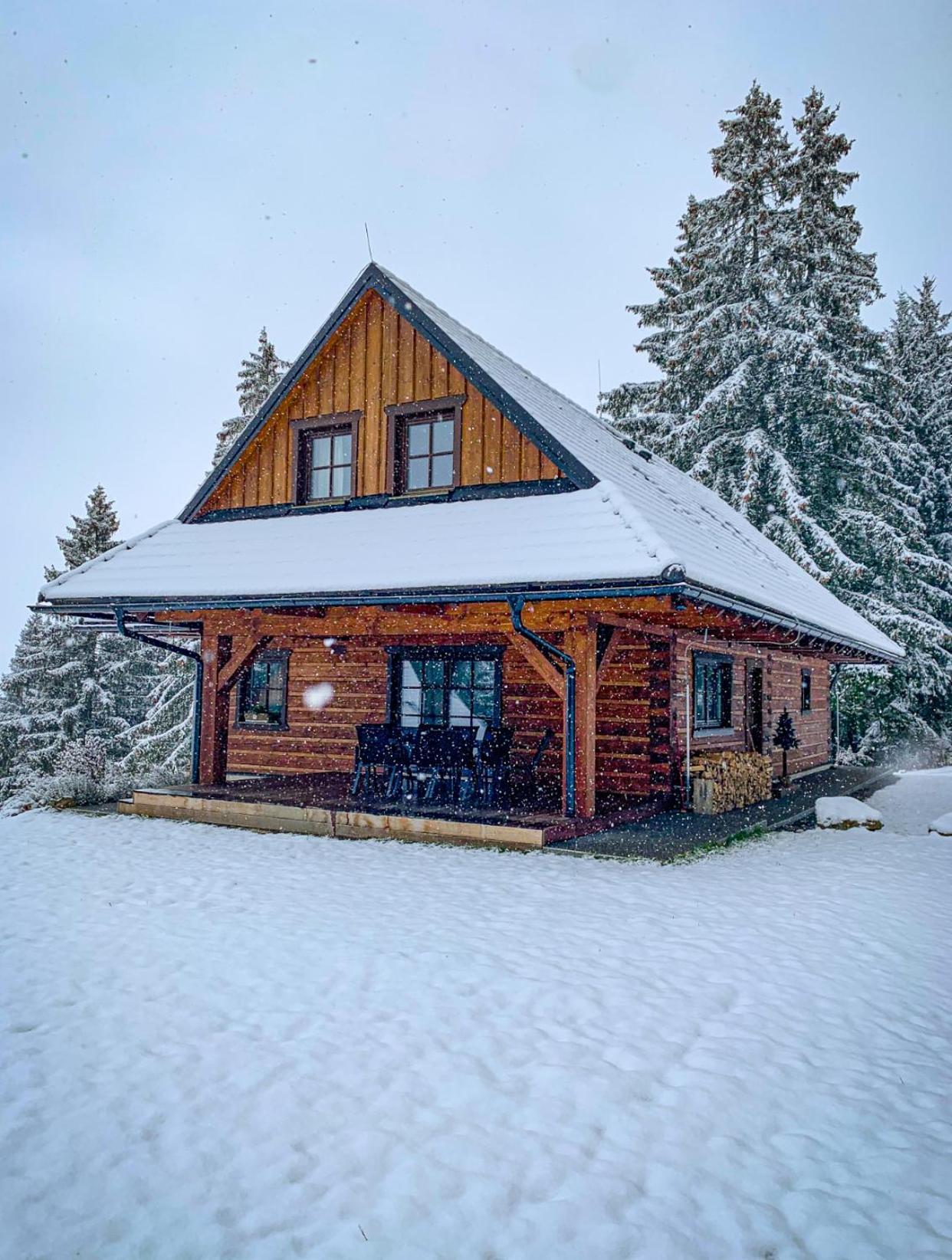 Drevenica Lesanka Villa Демановска Долина Екстериор снимка